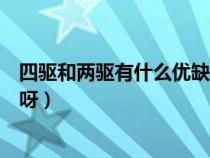 四驱和两驱有什么优缺点呀图片（四驱和两驱有什么优缺点呀）