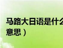 马路大日语是什么意思啊（马路大日语是什么意思）
