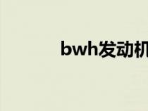 bwh发动机额定转速（BWH）