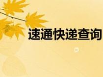速通快递查询（速通快递查询单号）