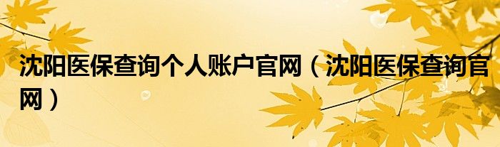 沈阳医保查询个人账户官网（沈阳医保查询官网）