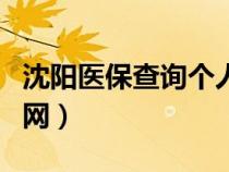 沈阳医保查询个人账户官网（沈阳医保查询官网）
