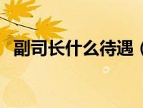 副司长什么待遇（副司长是什么行政级别）