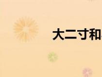 大二寸和小二寸（大二寸）