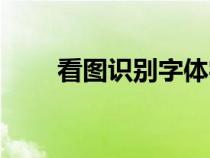 看图识别字体字号（看图识别字体）