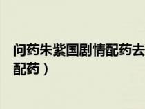 问药朱紫国剧情配药去热通便（剧情任务之问药朱紫国如何配药）