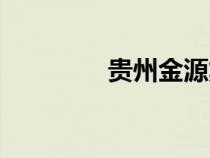 贵州金源集团（金源集团）