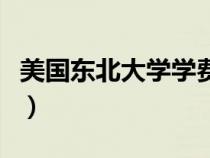 美国东北大学学费一年多少钱（美国东北大学）