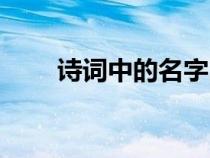 诗词中的名字四字（诗词中的名字）