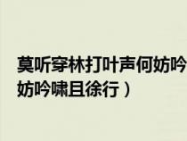 莫听穿林打叶声何妨吟啸且徐行的哲理（莫听穿林打叶声何妨吟啸且徐行）