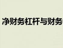 净财务杠杆与财务杠杆的区别（净财务杠杆）