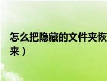怎么把隐藏的文件夹恢复可见（桌面隐藏的文件夹怎么找出来）