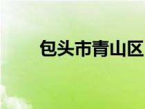 包头市青山区区长（包头市青山区）