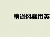 稍逊风骚用英文怎么说（稍逊风骚）