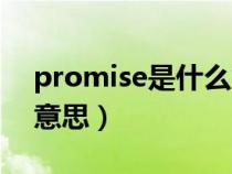 promise是什么意思英语（promise是什么意思）
