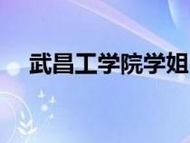 武昌工学院学姐口碑（武昌工学院贴吧）