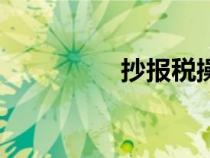 抄报税操作流程（抄报）
