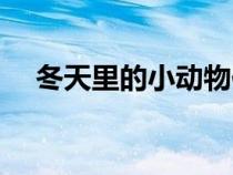 冬天里的小动物作文（冬天里的小动物）