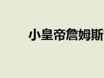小皇帝詹姆斯简历（小皇帝詹姆斯）