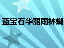 蓝宝石华丽雨林蜘蛛毒性（蓝宝石华丽雨林）