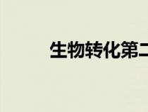 生物转化第二相反应（生物转化）