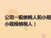 公司一般纳税人和小规模的区别（怎么查是一般纳税人还是小规模纳税人）