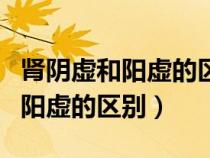 肾阴虚和阳虚的区别在哪里倪海厦（肾阴虚和阳虚的区别）