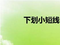 下划小短线（下划短线怎么打）