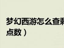 梦幻西游怎么查剩余点数（梦幻西游查询剩余点数）