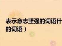 表示意志坚强的词语什么坚韧不拔什么什么（表示意志坚强的词语）