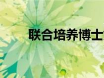 联合培养博士好申请吗（联合培养）