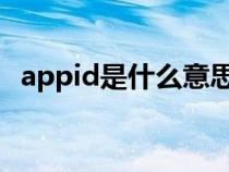 appid是什么意思怎么用（AppID是什么）