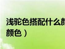 浅驼色搭配什么颜色最好看（浅驼色搭配什么颜色）