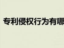 专利侵权行为有哪些(种类)（专利侵权行为）