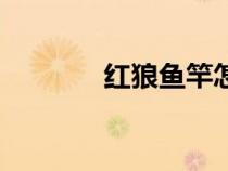 红狼鱼竿怎么样（红狼鱼竿）