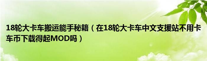 18轮大卡车搬运能手秘籍（在18轮大卡车中文支援站不用卡车币下载得起MOD吗）