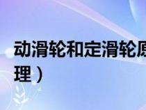 动滑轮和定滑轮原理详解（动滑轮和定滑轮原理）