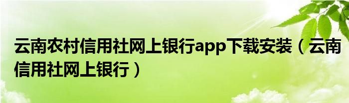 云南农村信用社网上银行app下载安装（云南信用社网上银行）