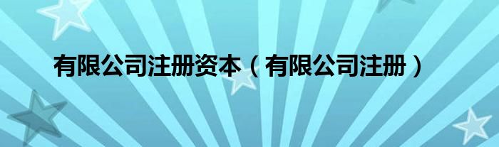 有限公司注册资本（有限公司注册）