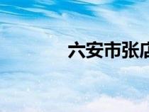 六安市张店中学（张店中学）