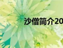 沙僧简介20字左右（沙僧简介）