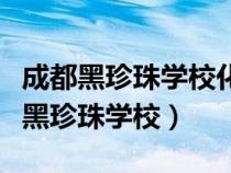 成都黑珍珠学校化妆出来工资大约多少（成都黑珍珠学校）