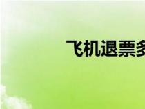 飞机退票多少钱（飞机退票）