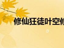 修仙狂徒叶空修为表（修真狂徒叶空）