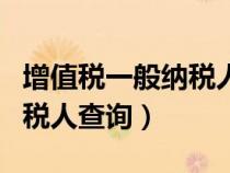 增值税一般纳税人查询无数据（增值税一般纳税人查询）