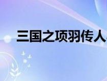 三国之项羽传人小说（三国之项羽传人）