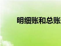 明细账和总账的区别图片（明细账）