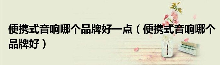 便携式音响哪个品牌好一点（便携式音响哪个品牌好）