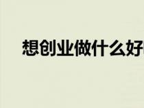 想创业做什么好呢（我想创业做什么好）