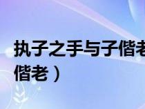 执子之手与子偕老是什么意思（执子之手与子偕老）